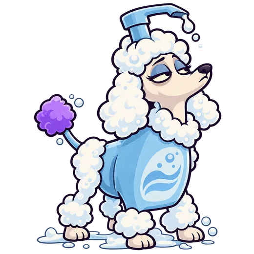 shampoo + poodle